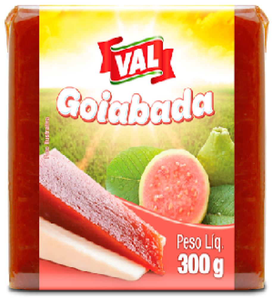 GOIABADA BLOCO VAL 300GR